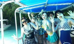 娱乐吃瓜君大象,大象背后的故事与真相